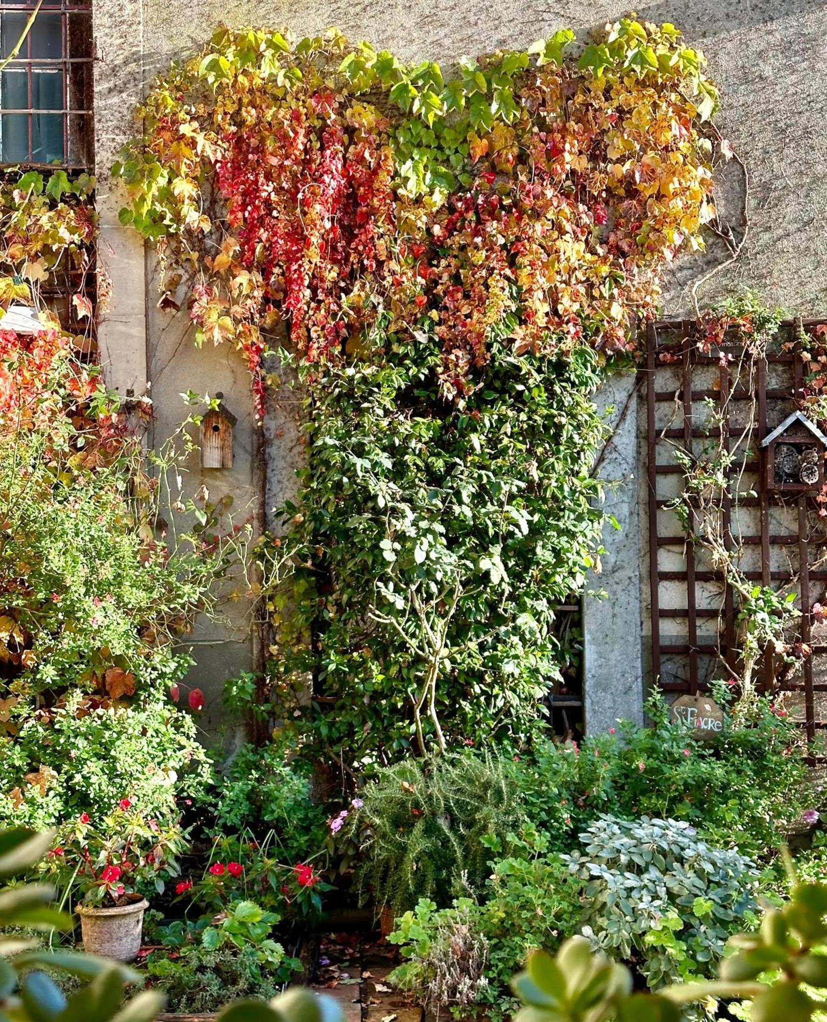 Logis Saint-Flaceau เลอม็องส์ ภายนอก รูปภาพ